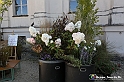 VBS_2432 - FloReal 2021 alla Palazzina di Caccia di Stupinigi